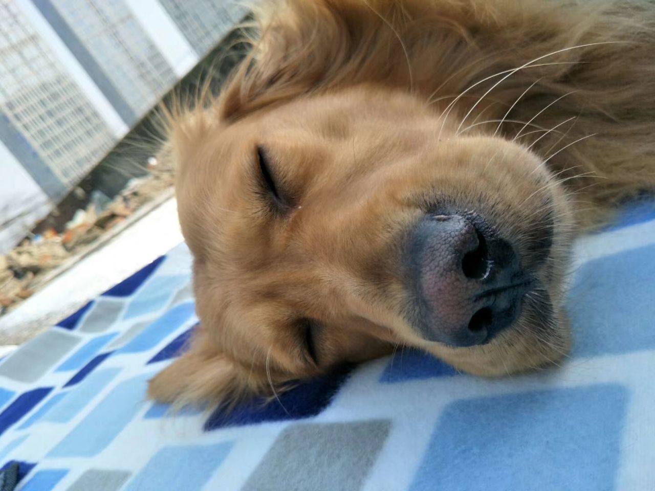 20181016_303905_1539701832244.jpg