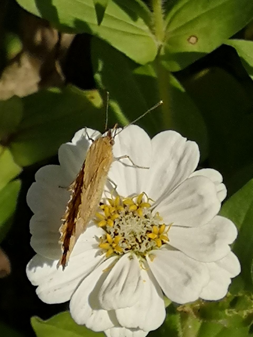 20181029_244189_1540782513908.jpg