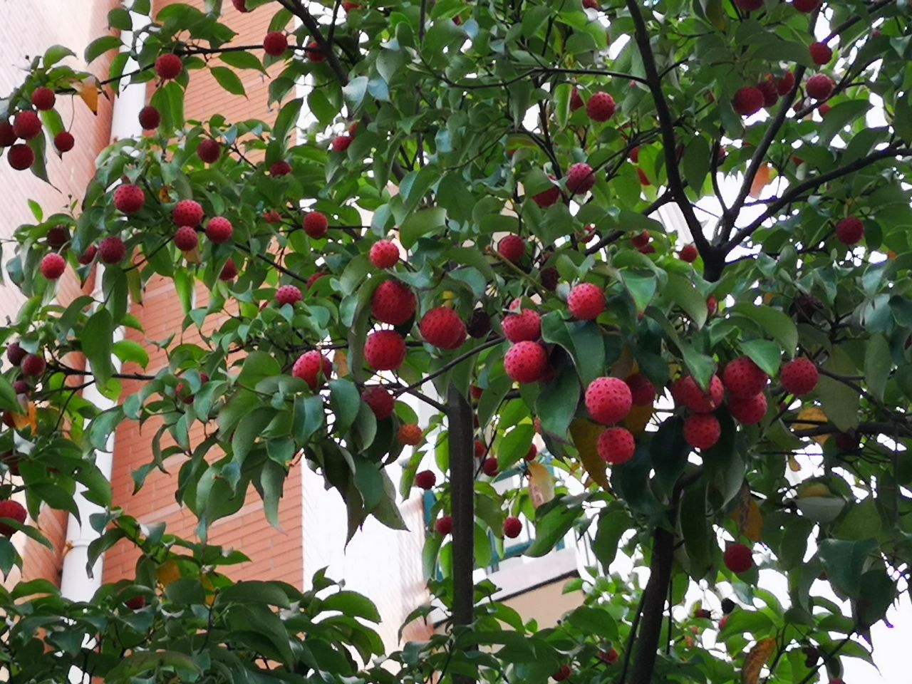 20181031_298658_1540976942200.jpg