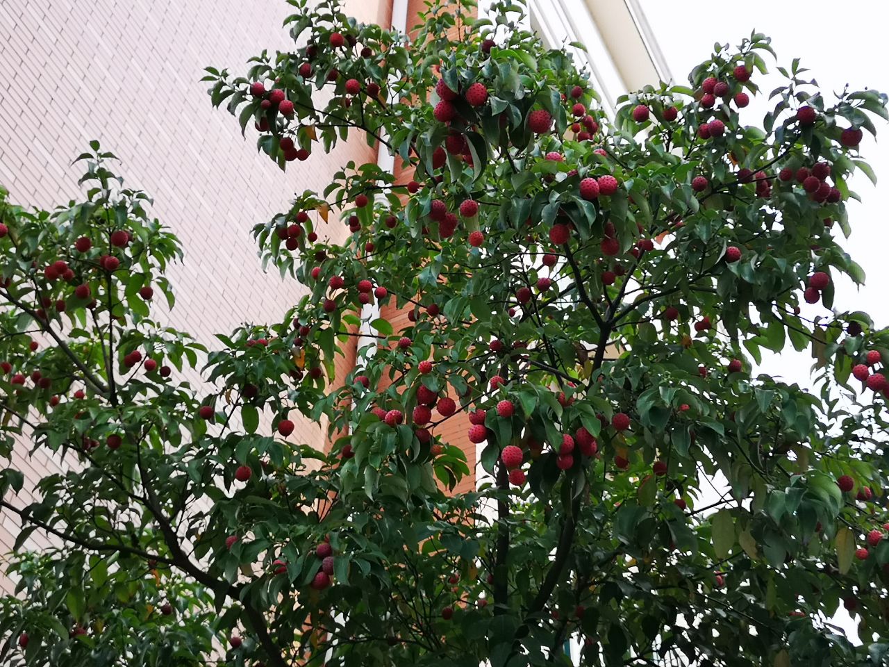 20181031_298658_1540976942401.jpg