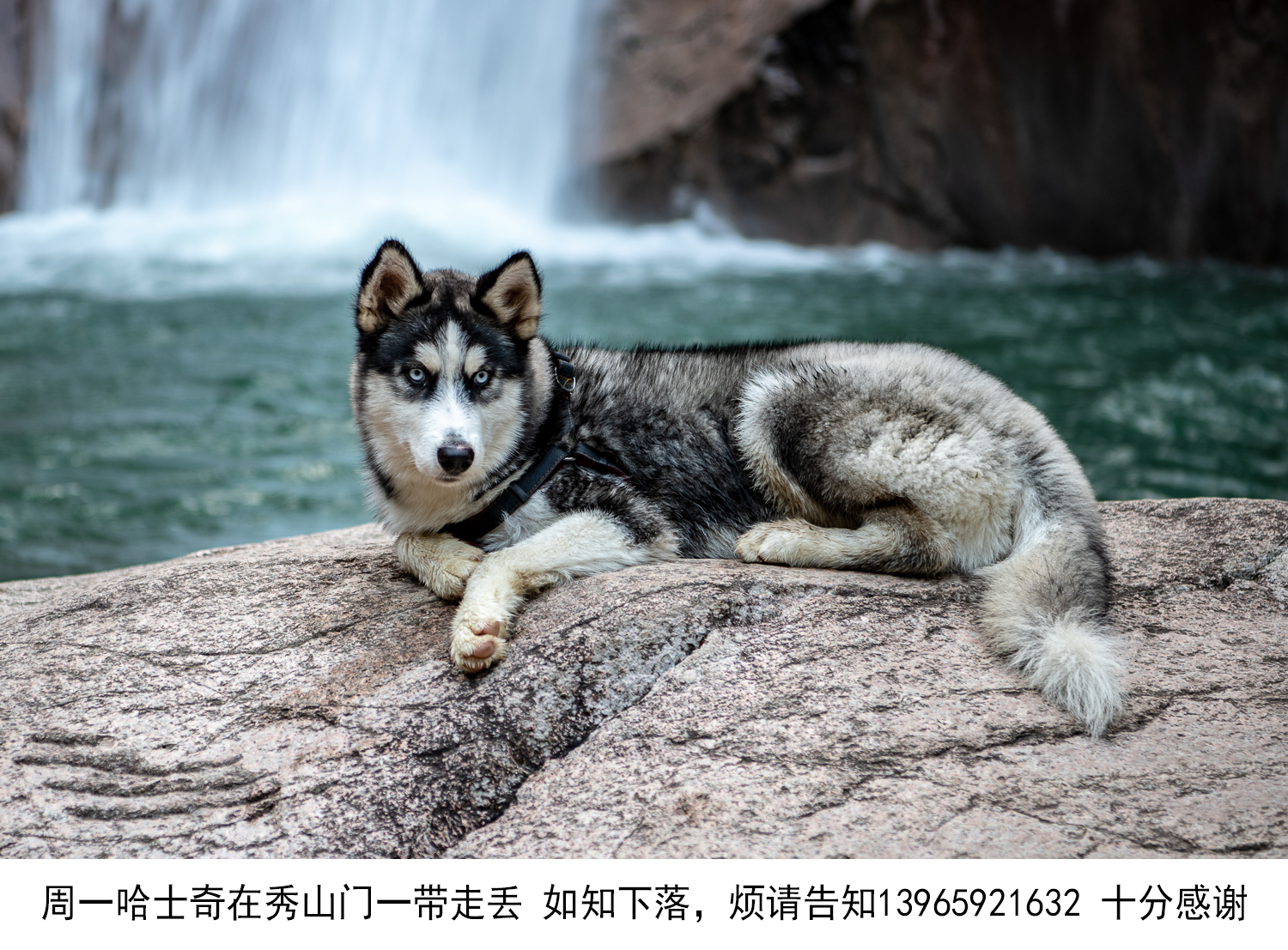 93-陵阳九华神龙谷-饶颐_RYS6259.jpg