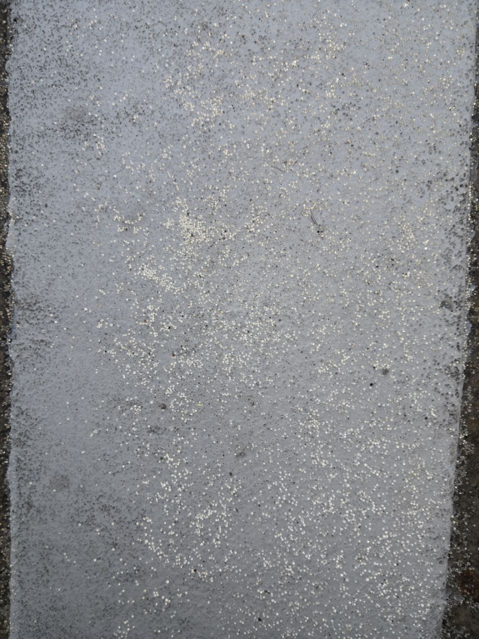 20181126_142973_1543202935764.jpg