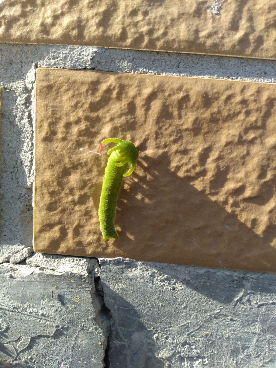 20181201_306242_1543643881514.jpg