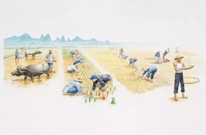 江南地道风物5.jpg