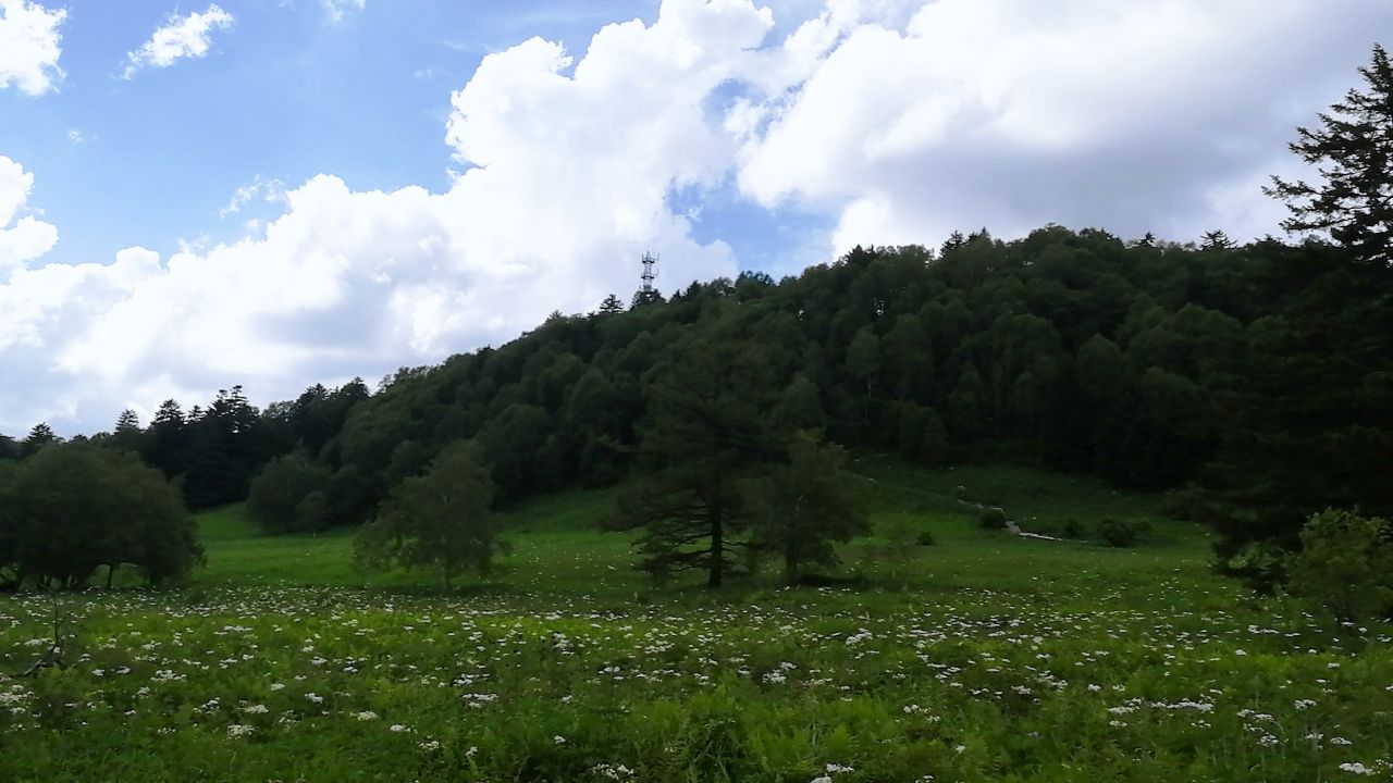 20181211_248904_1544495968709.jpg