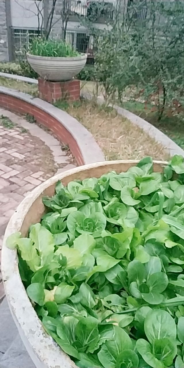 20181223_127530_1545556914353.jpg