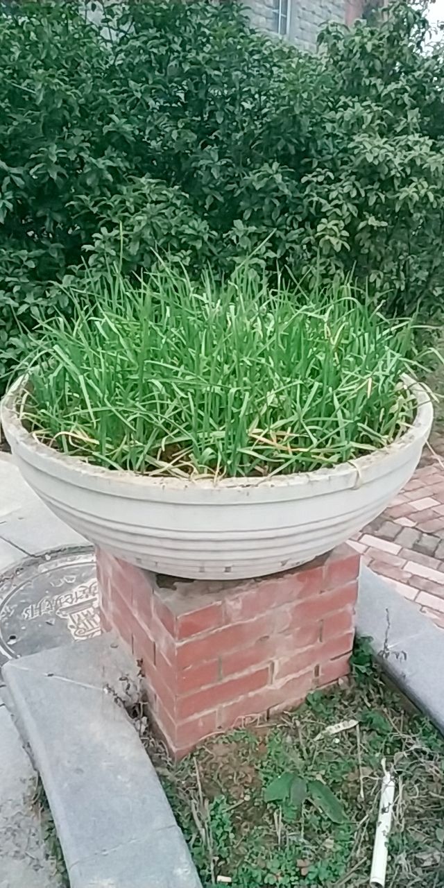 20181223_127530_1545556914409.jpg