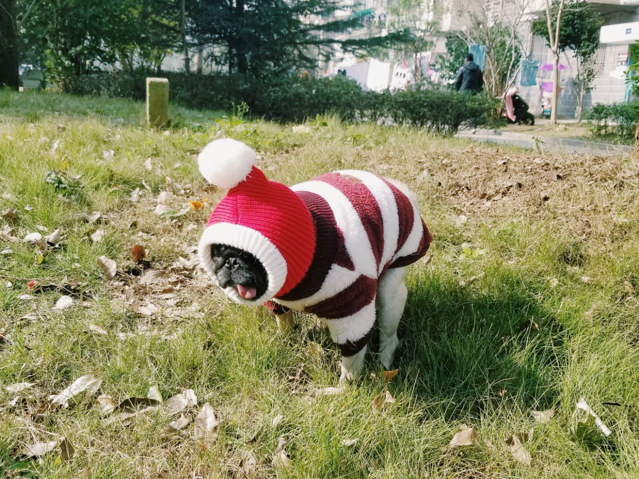 20181228_157445_1545989917173.jpg