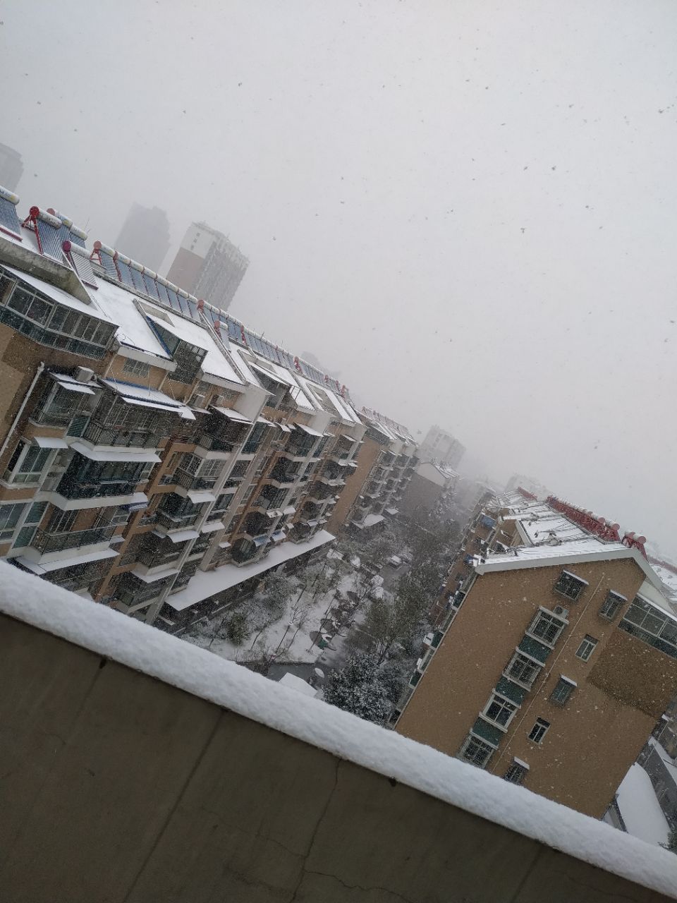 20190103_306282_1546512869604.jpg