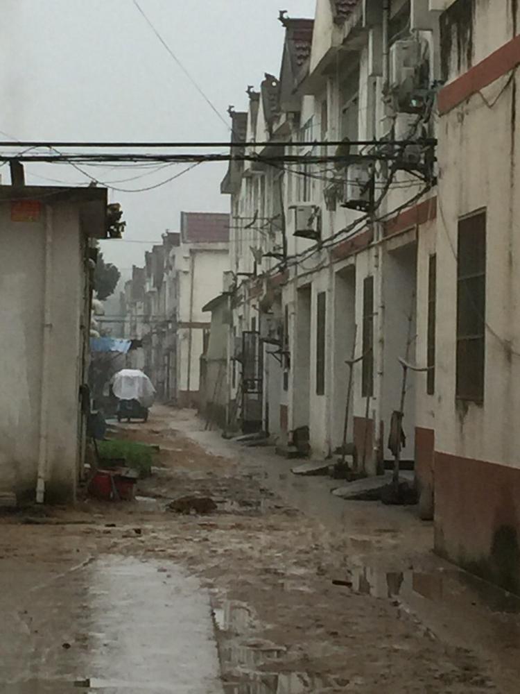 看看马衙街道滨河小区路面,真是无处下脚啊啊啊