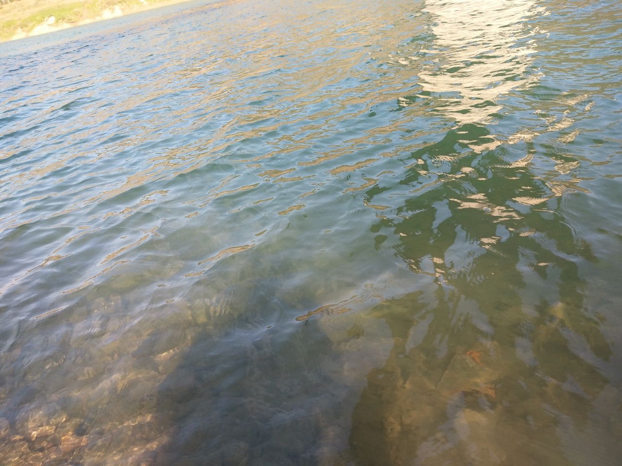 20190117_61683_1547699684852.jpg