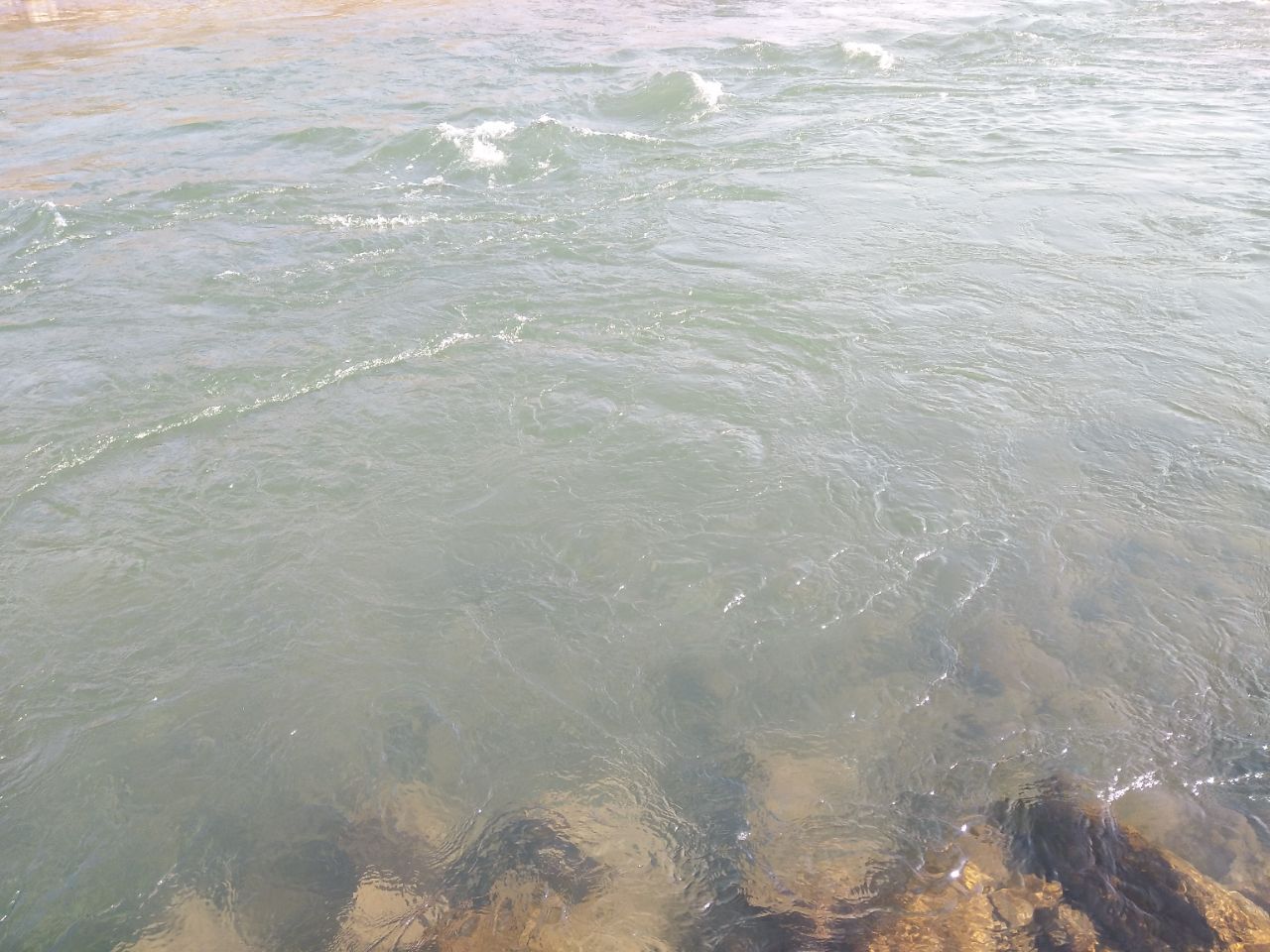 20190117_61683_1547699685703.jpg