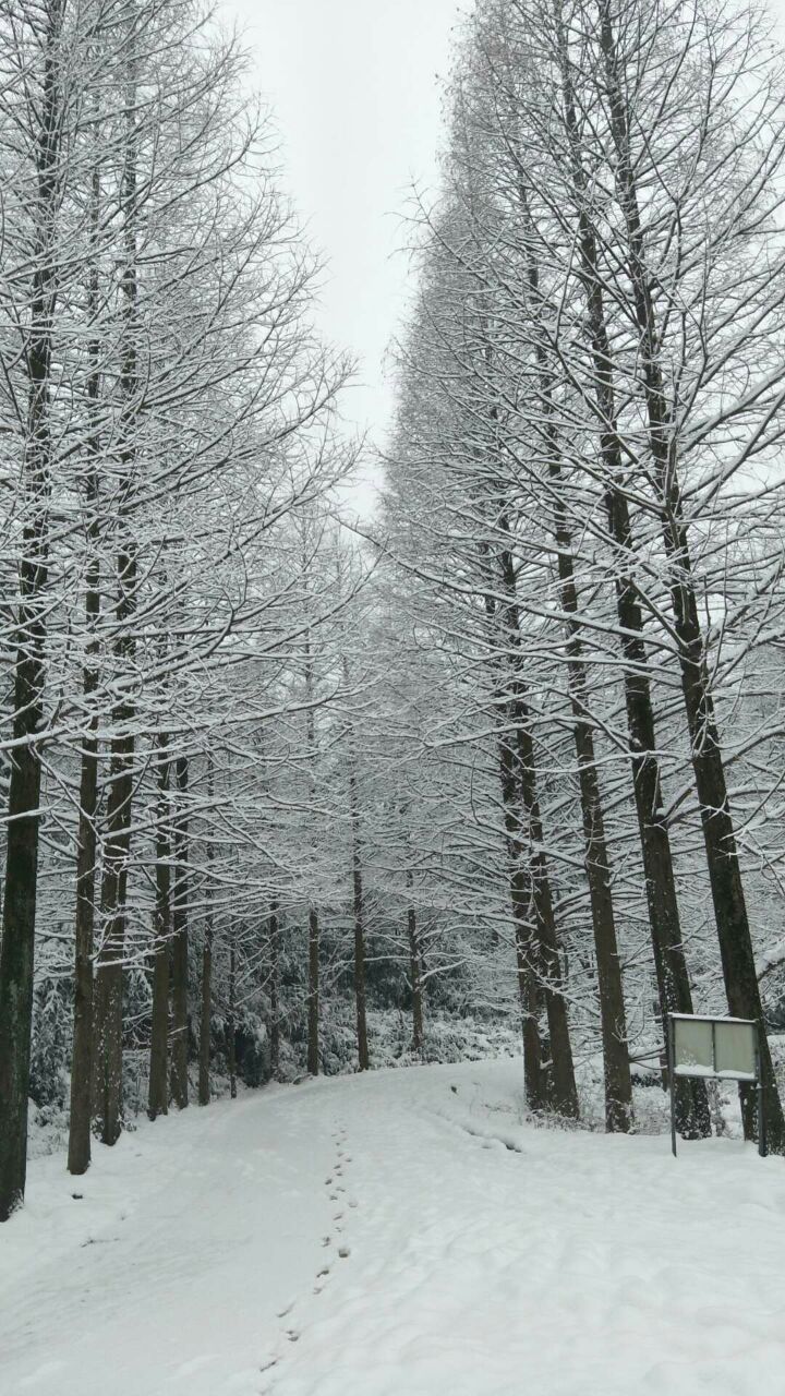 20190120_269681_1547961160902.jpg