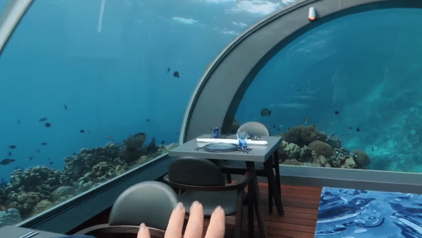 壁纸 海底 海底世界 海洋馆 水族馆 桌面 600_338 gif 动态图 动图