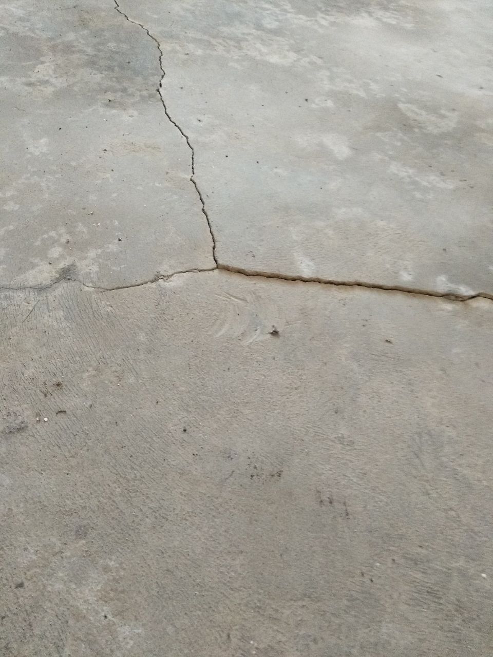 20190203_305233_1549155447105.jpg