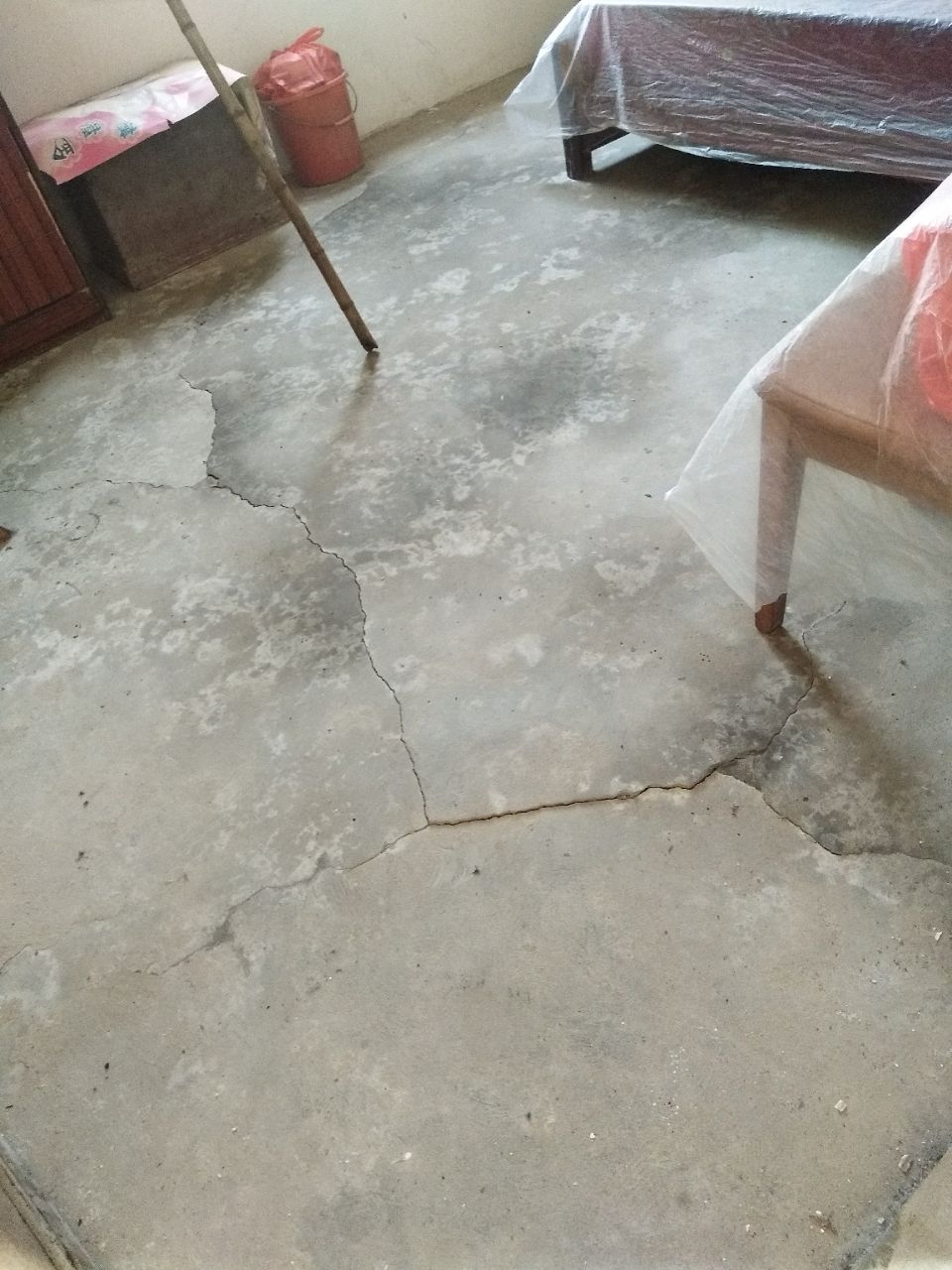 20190203_305233_1549155447656.jpg