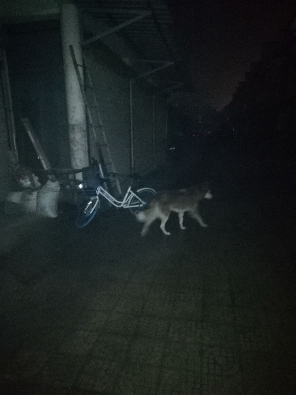20190203_255700_1549204521809.jpg