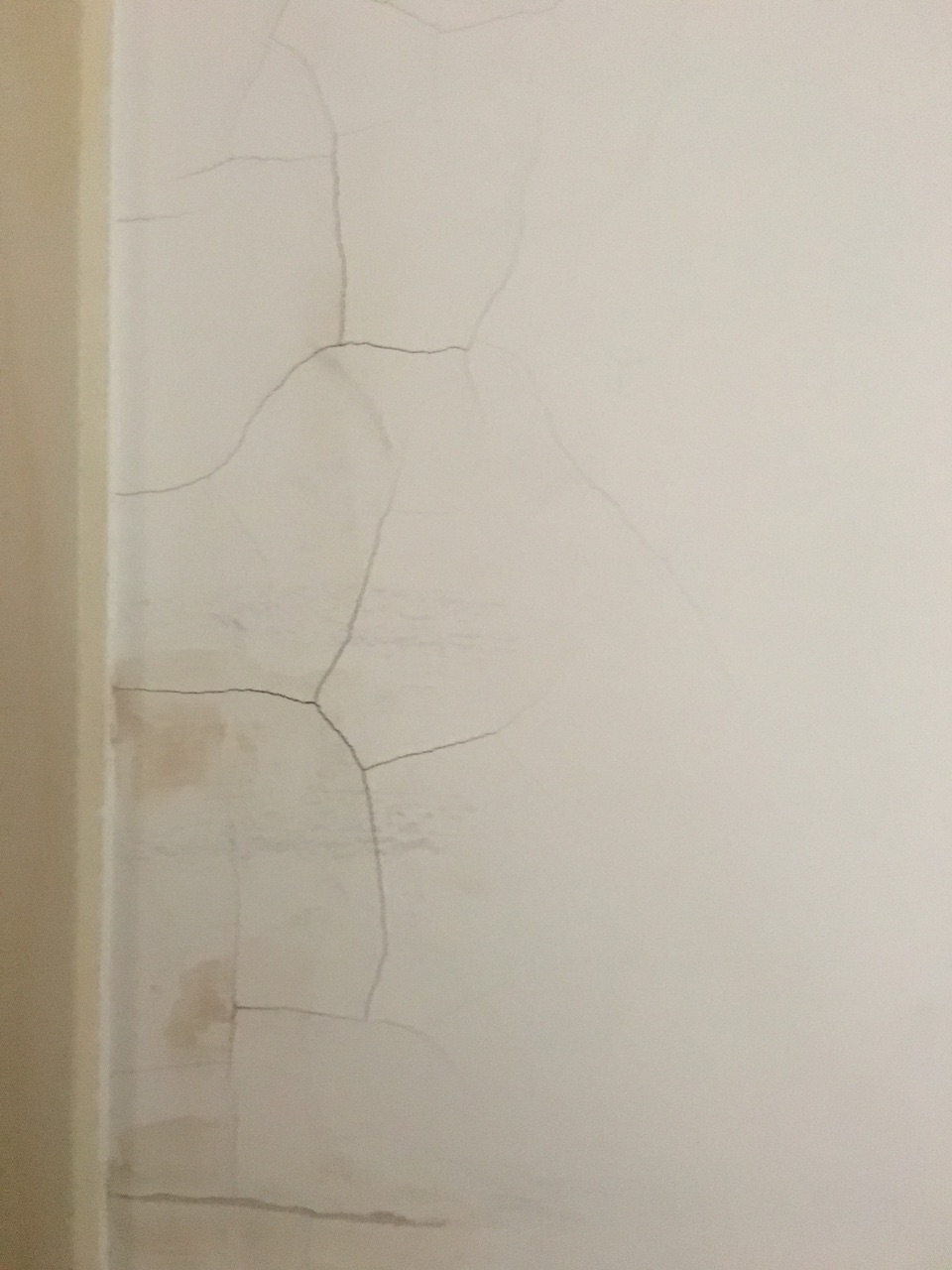 201902262733951551159221172919.jpg