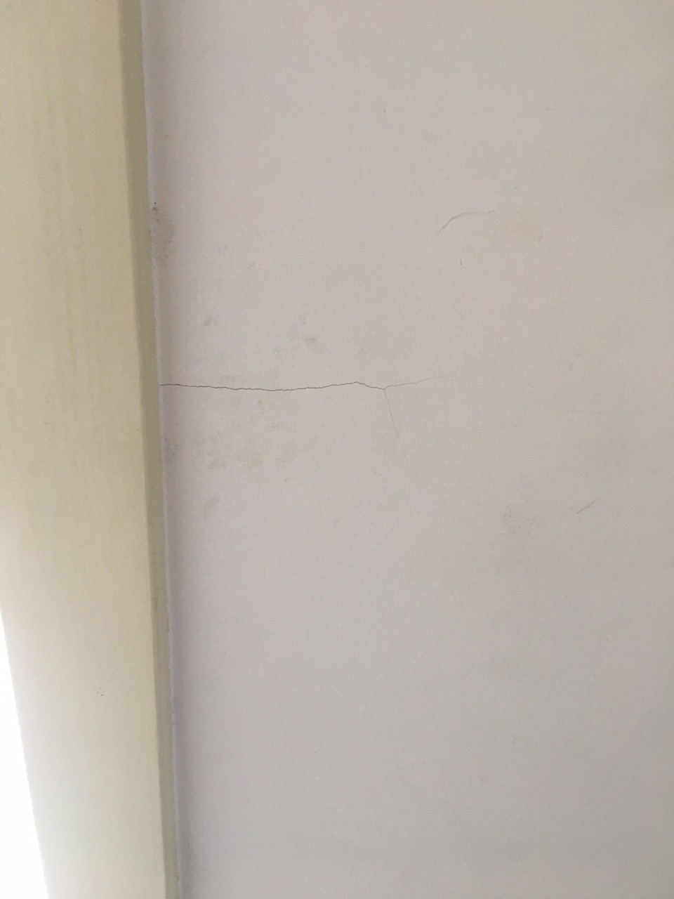 201902262733951551159221333356.jpg