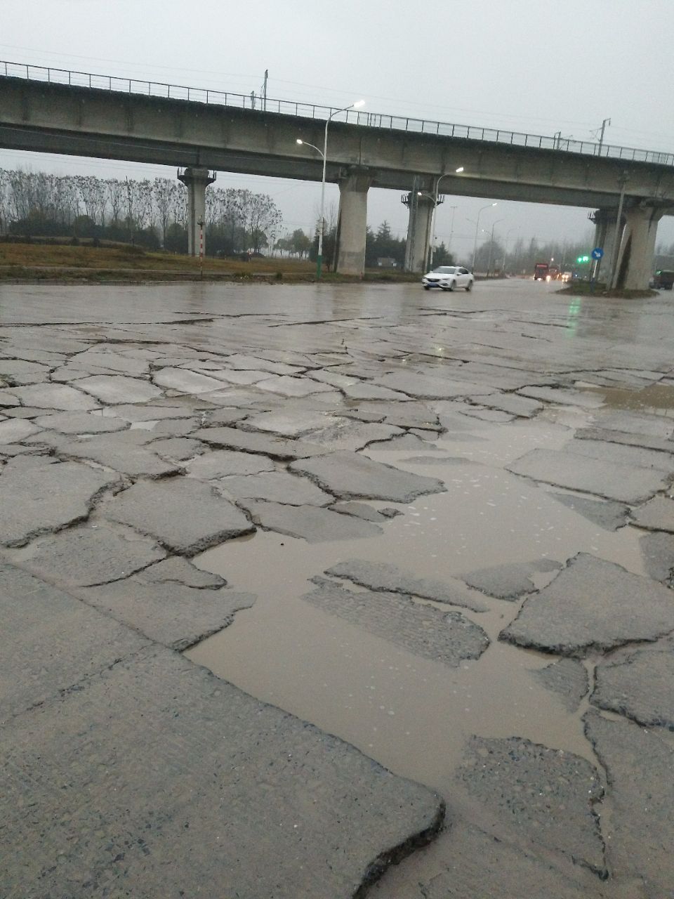20190226_253111_1551164182636.jpg