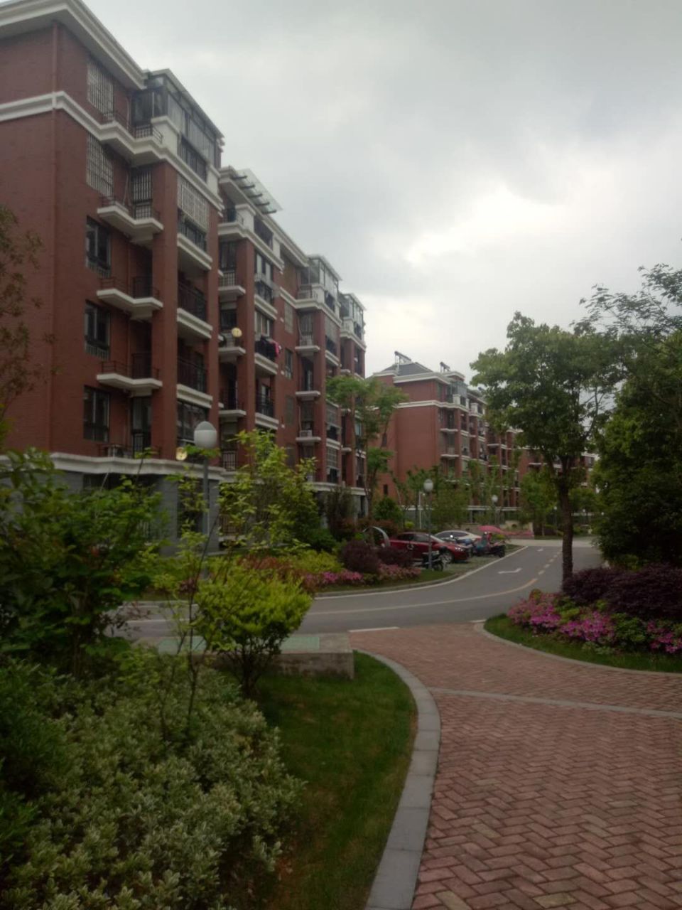 20190227_256041_1551239865424.jpg