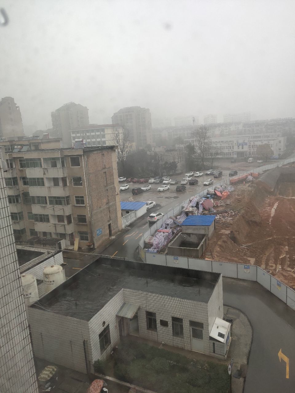 20190301_312948_1551428958034.jpg