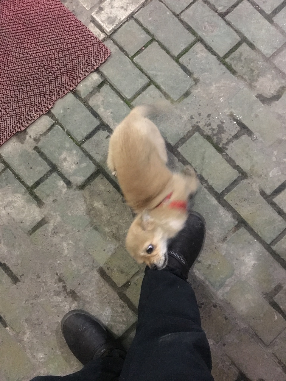 201903072652331551892641429701.jpg