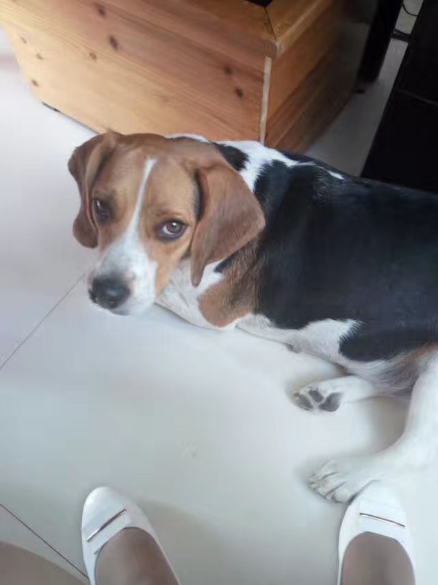 20190308_233178_1552007680095.jpg