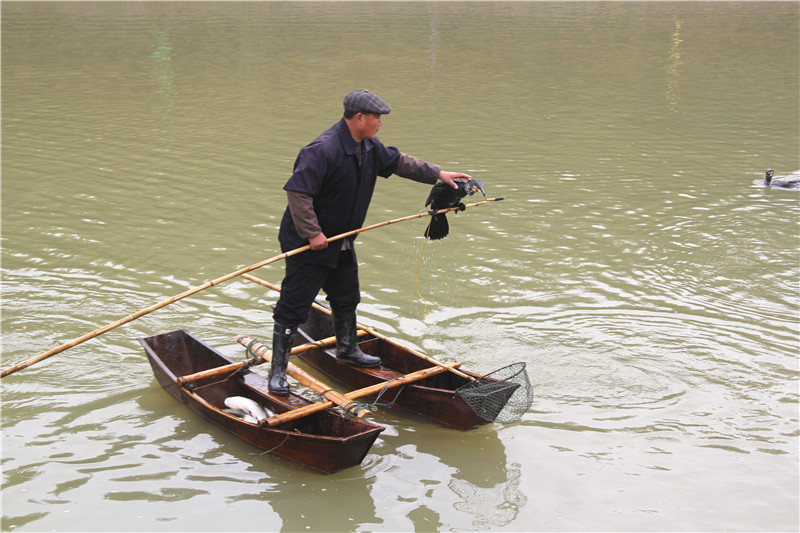 捕鱼1.jpg