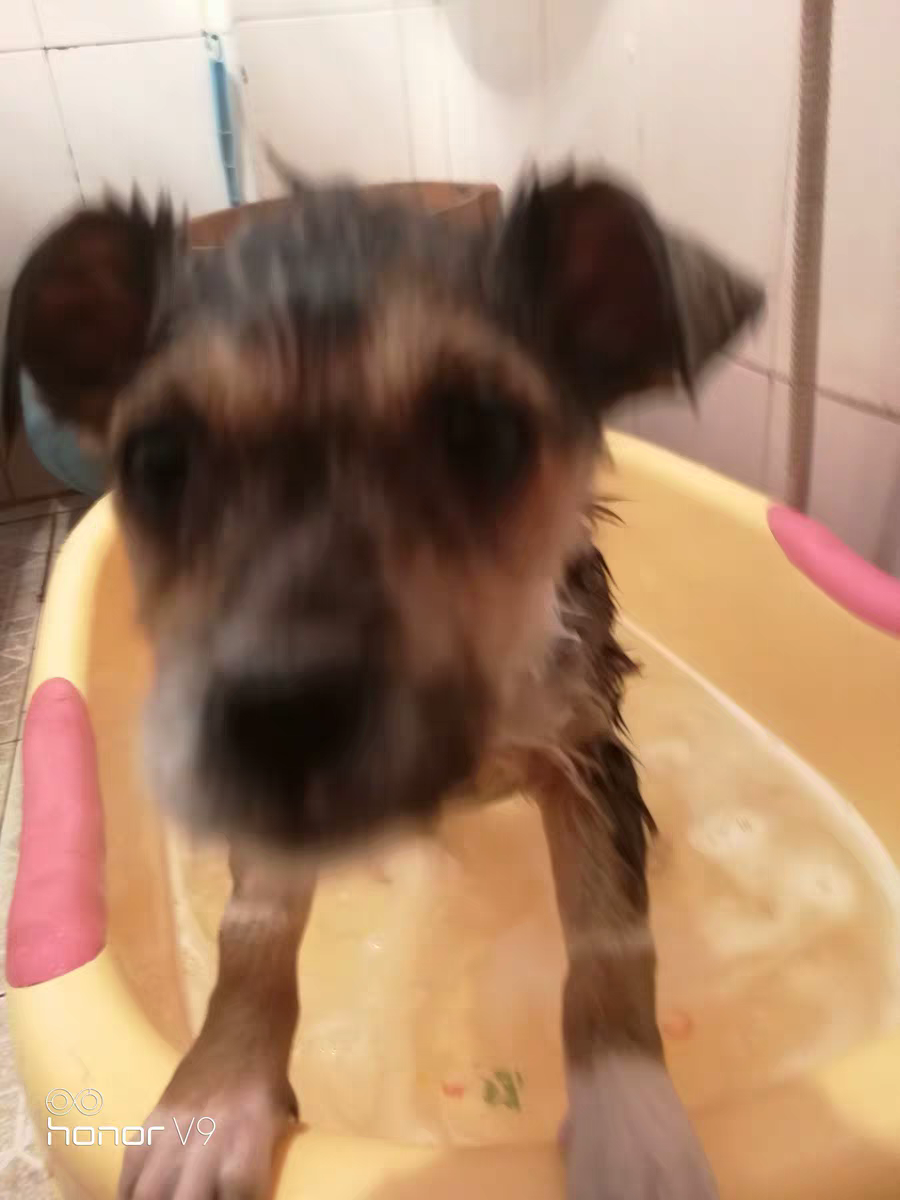 20190318_261232_1552871595325.png