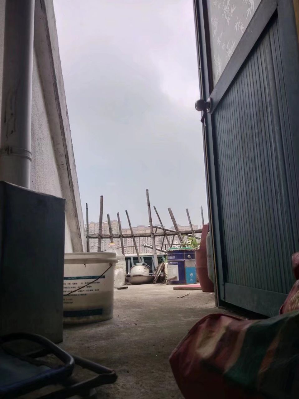 20190318_305358_1552876498329.jpg