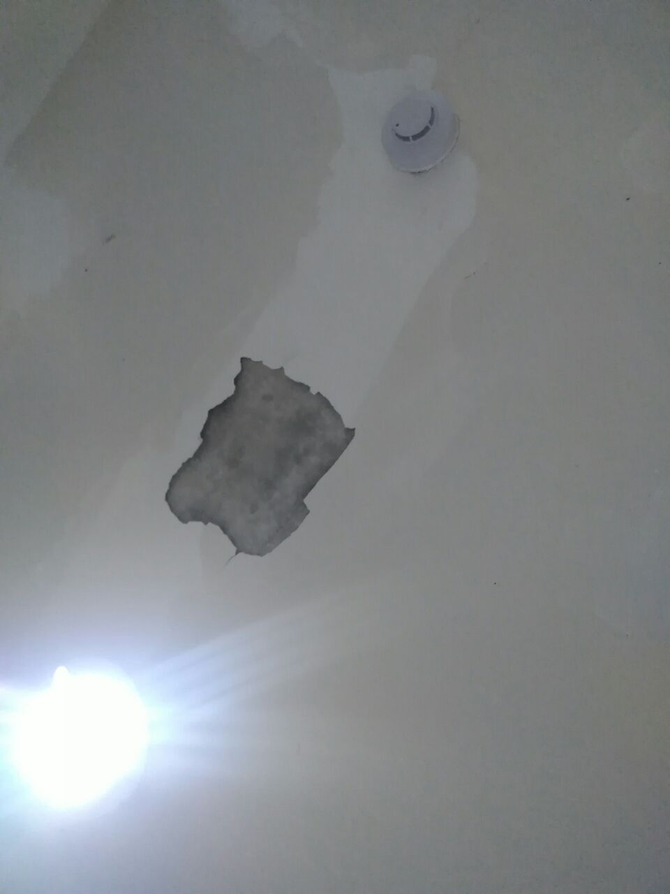 20190321_315699_1553125972007.jpg