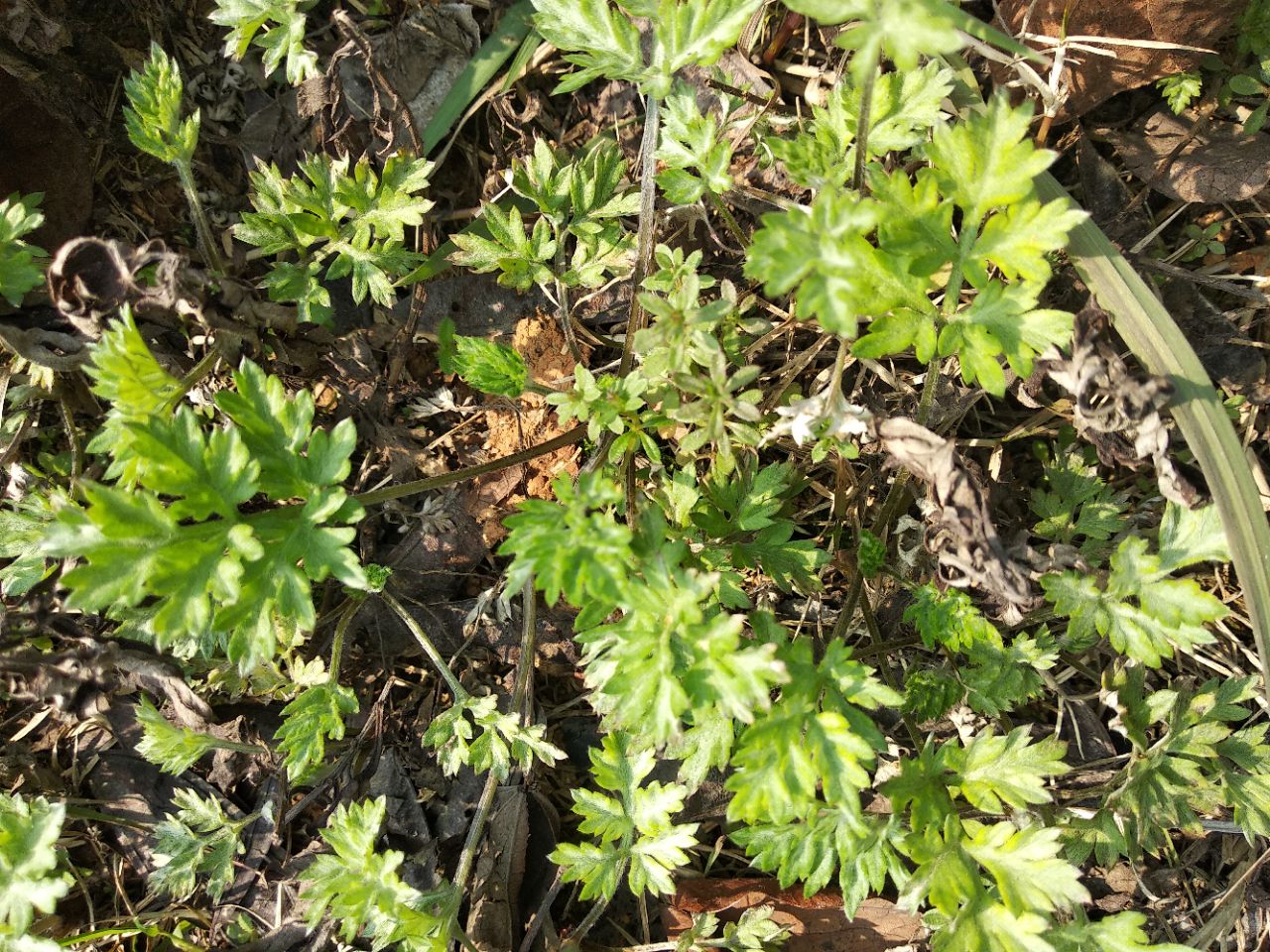 20190324_6602_1553388895813.jpg