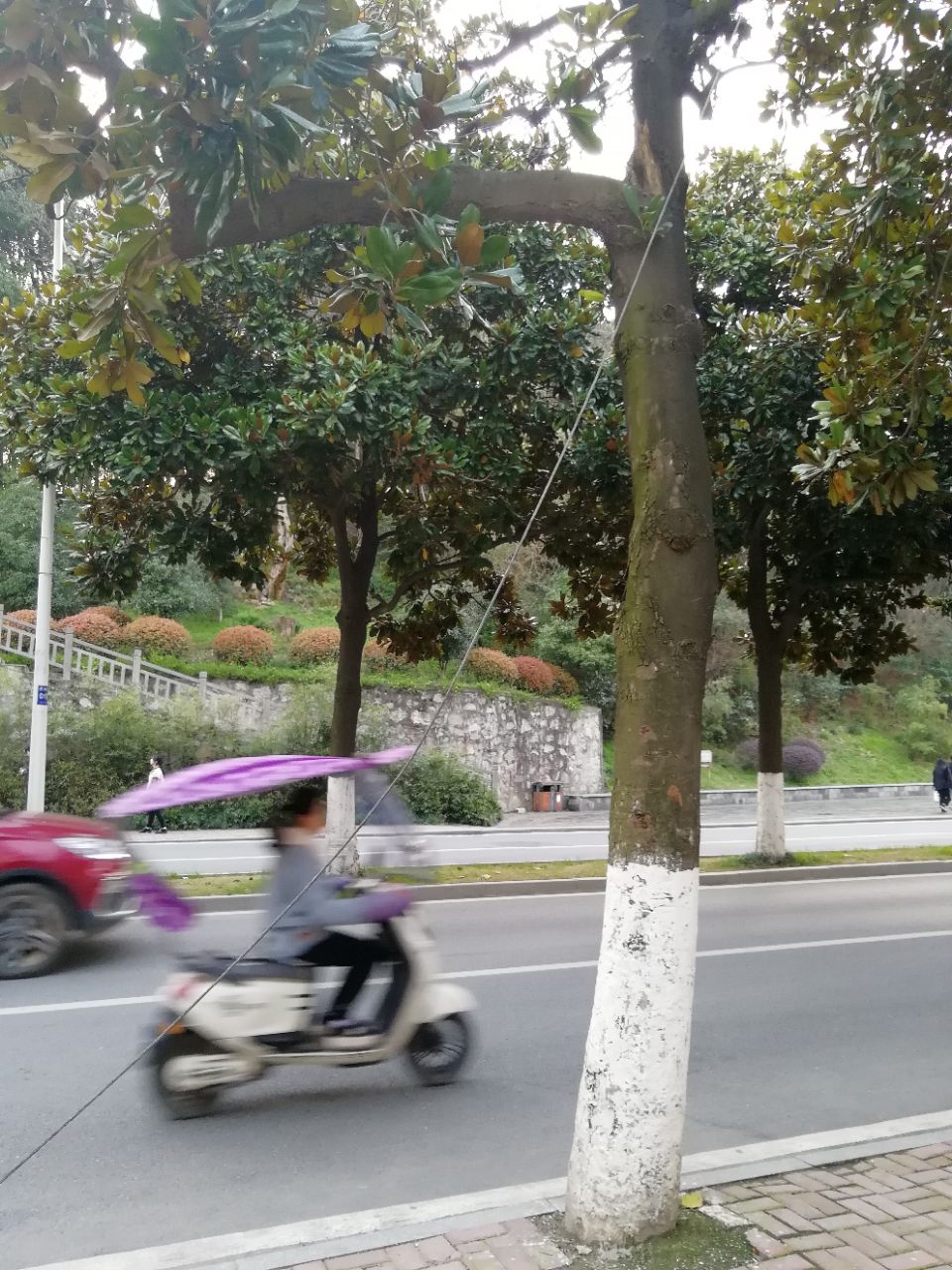 20190324_29857_1553434016617.jpg