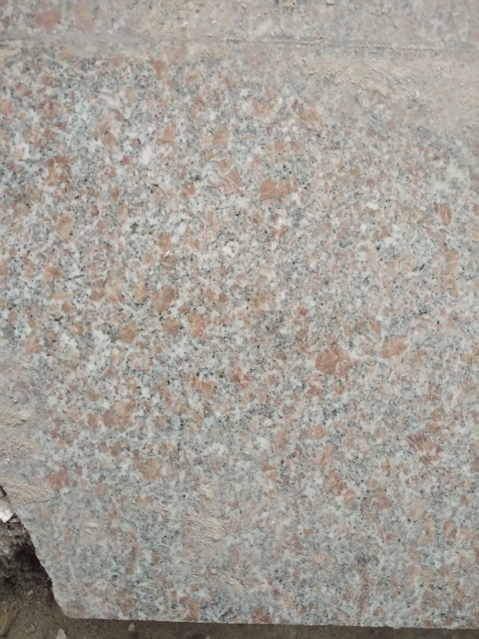 20190329_245786_1553843672294.jpg