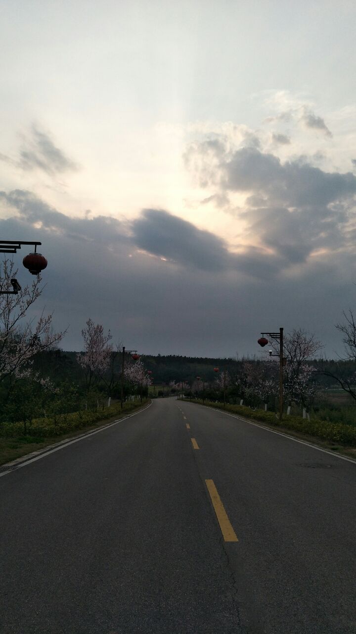 20190329_269052_1553861651525.jpg