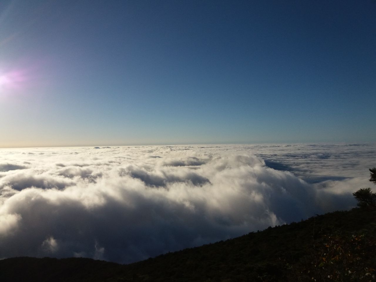 20190330_207559_1553953988772.jpg
