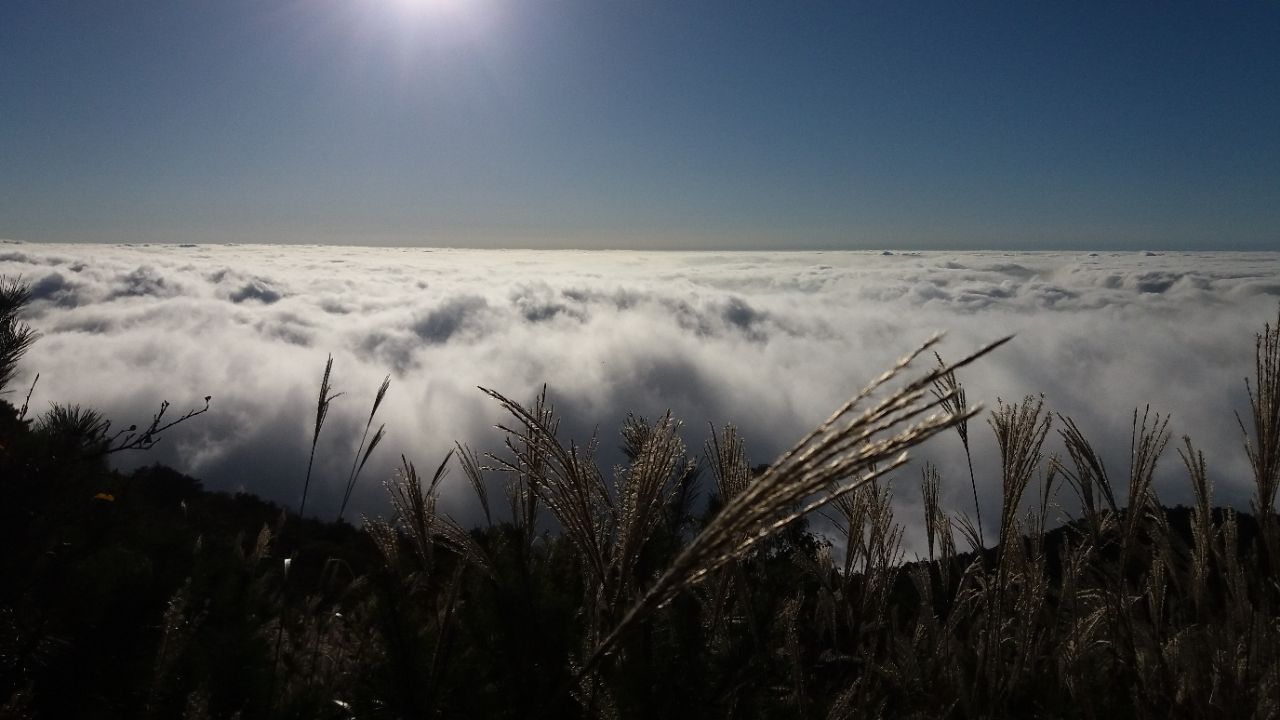 20190330_207559_1553953988581.jpg