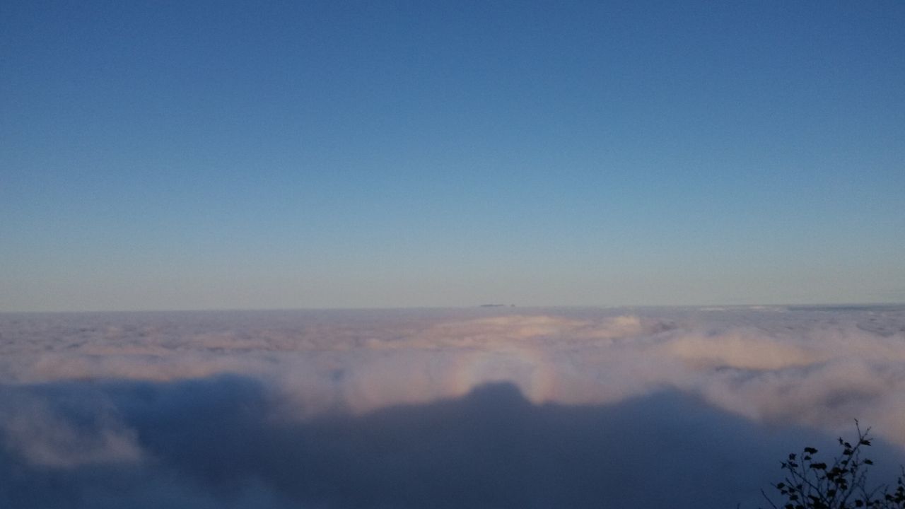 20190330_207559_1553953989278.jpg