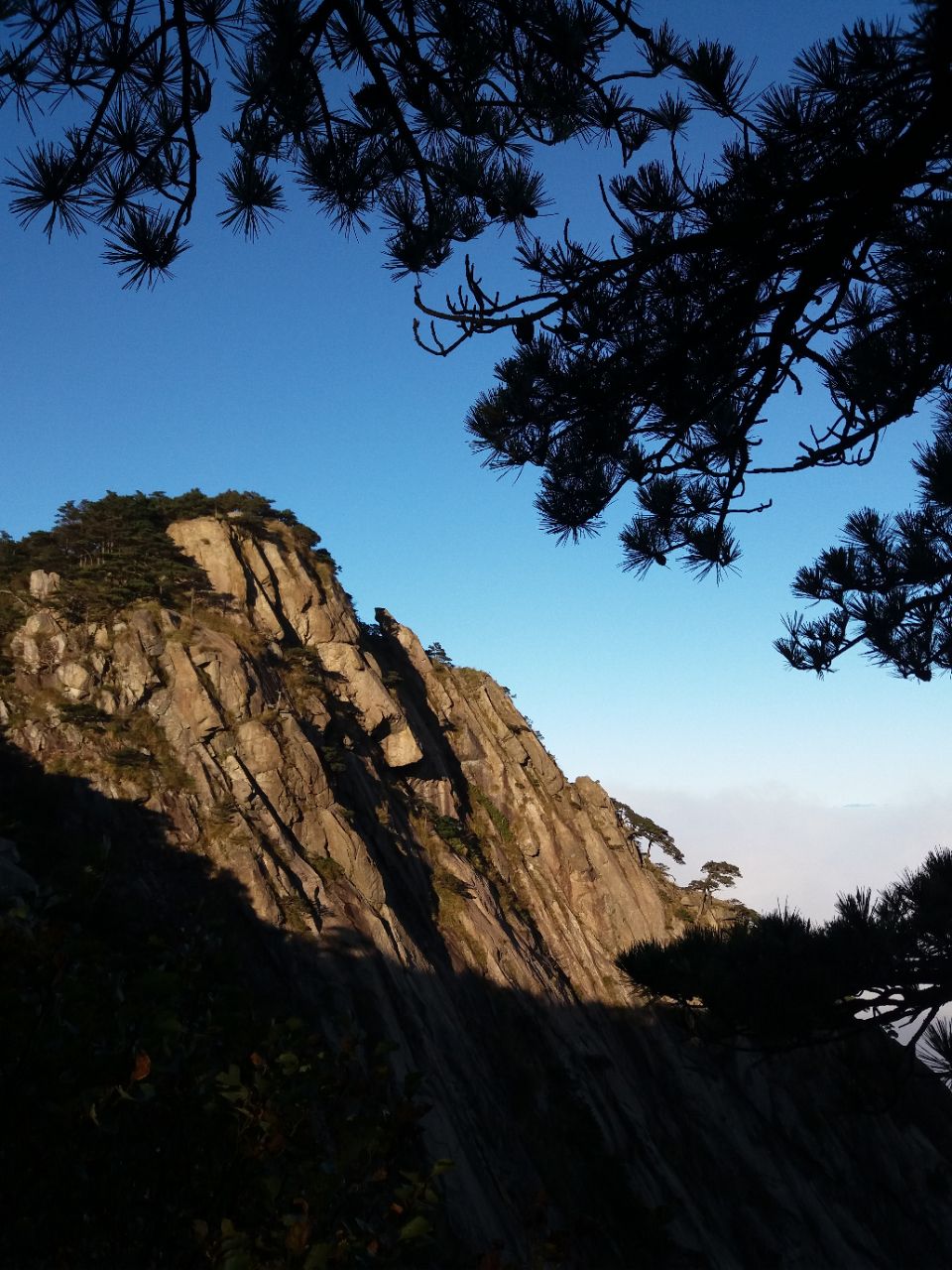 20190330_207559_1553953989011.jpg