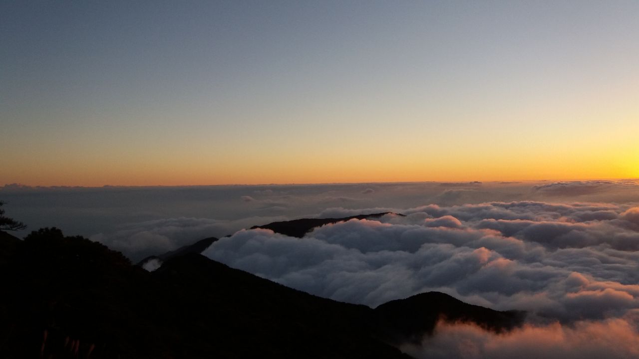 20190330_207559_1553953989874.jpg