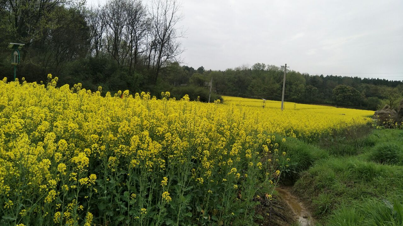 20190331_269052_1554021827291.jpg
