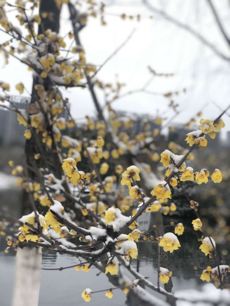 20190331_252231_1554043444229.jpg