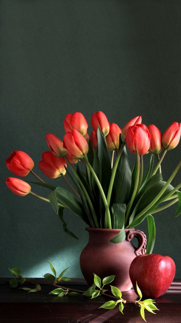 20190401_303842_1554078444907.jpg