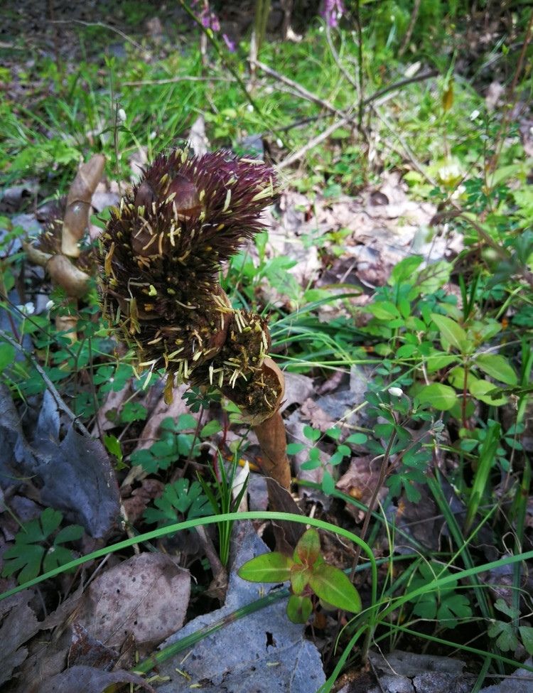 20190404_310614_1554344244484.jpg