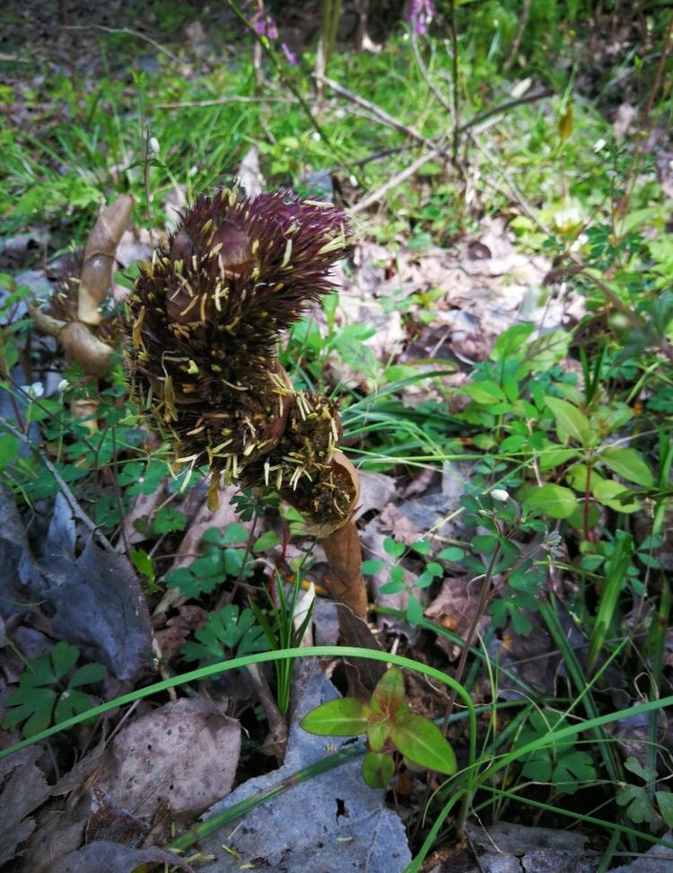 20190404_310614_1554344244556.jpg