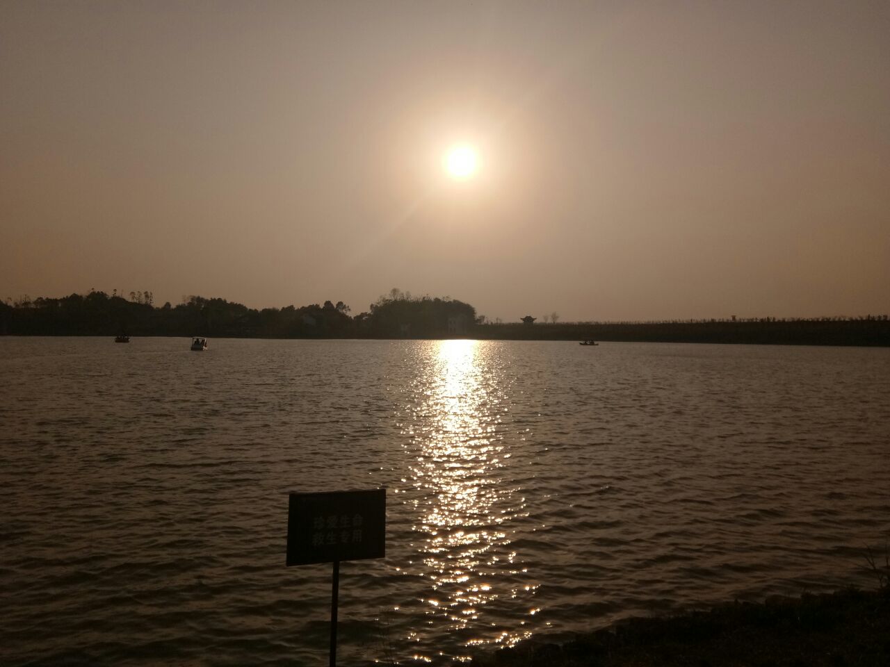 20190406_160827_1554512101111.jpg