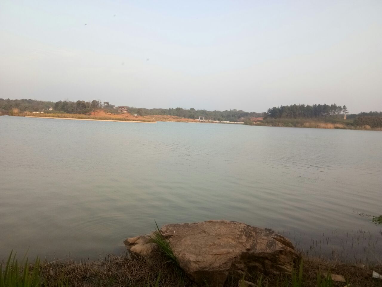 20190406_160827_1554512102525.jpg