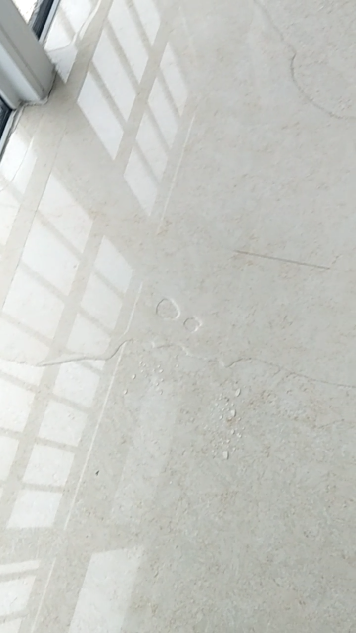 20190409_244867_1554796749641.png