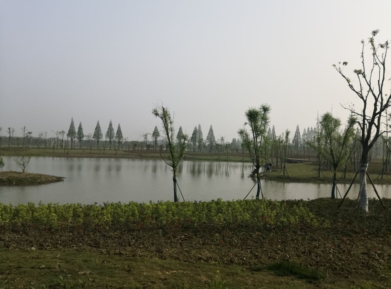 20190415_289592_1555316347320.jpg